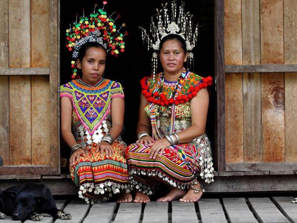 Borneo wildlife vacation, Sarawak