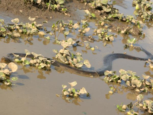 Venezuela wildlife holiday
