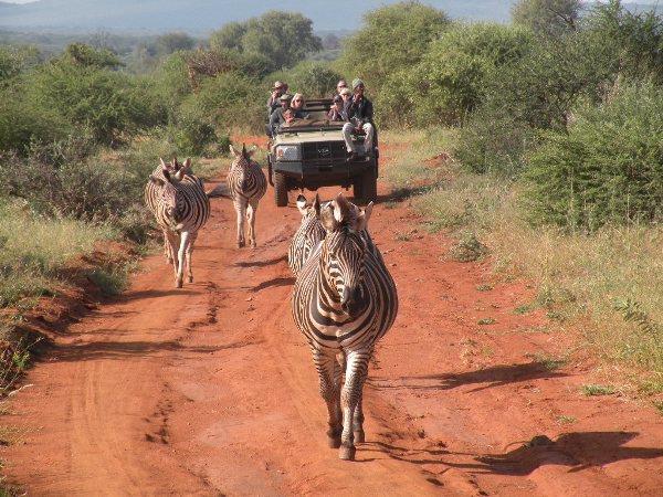 Family luxury safari & beach vacation, South Africa & Mozambique