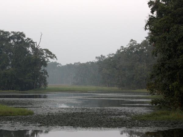 Bhutan tiger safari vacation