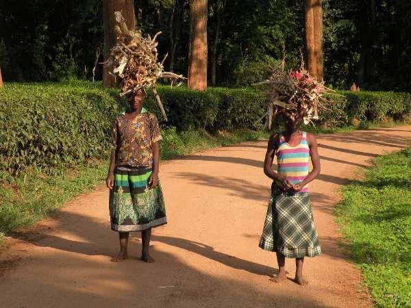 Malawi tailor made holiday