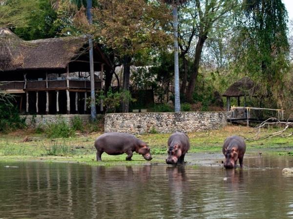 Malawi self drive holiday