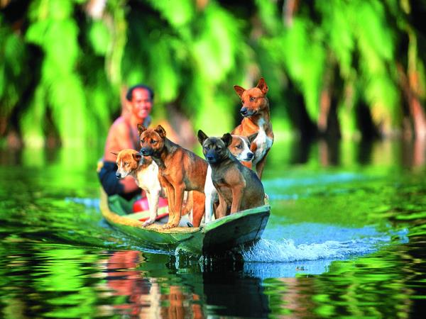 Borneo vacations, tailor made