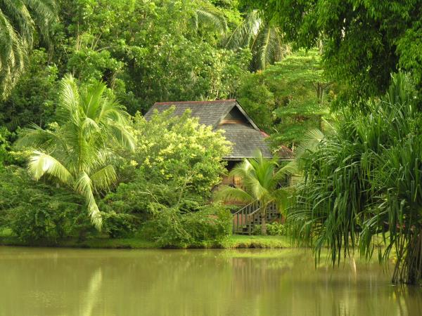 Borneo vacations, tailor made