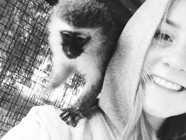 Volunteer with monkeys in South Africa