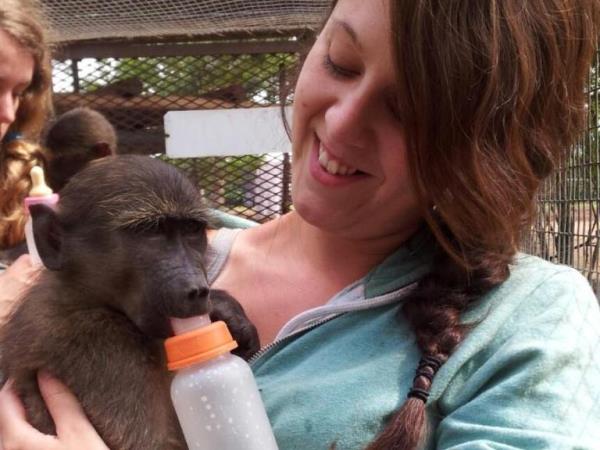 Volunteer with monkeys in South Africa