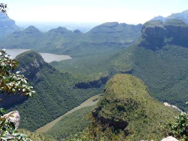 Volunteer with monkeys in South Africa