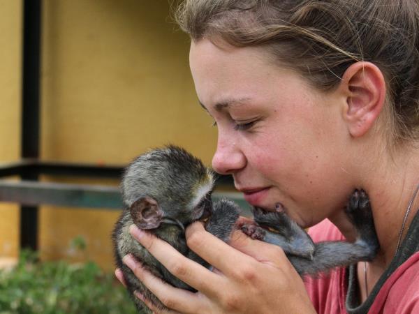 Volunteer with monkeys in South Africa