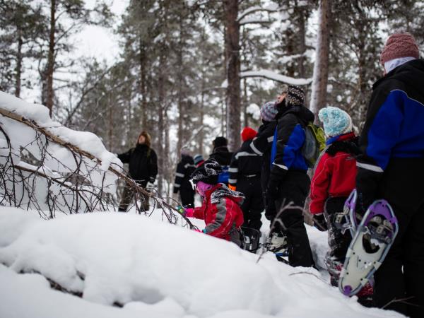 Northern Lights Family Christmas in Lapland