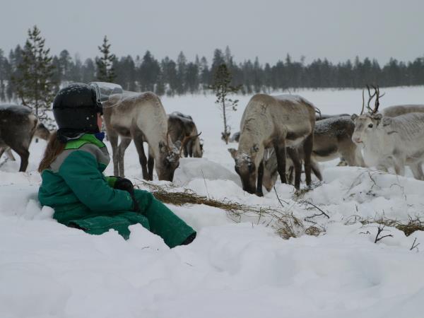 Northern Lights Family Christmas in Lapland
