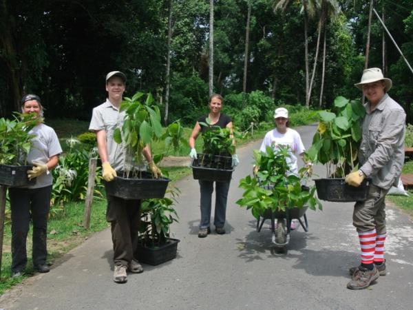 Wildlife conservation in Borneo