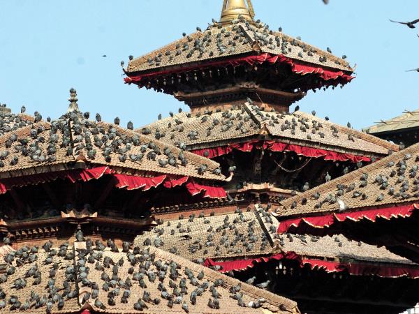 Nepal vacation, encompassed