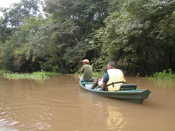 Brazil wildlife vacation, tailor made