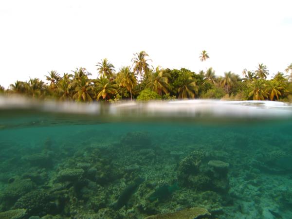 Queensland Rainforests & Great Barrier Reef wildlife holiday