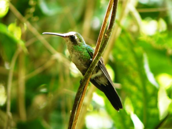 Trekking holiday in Cuba