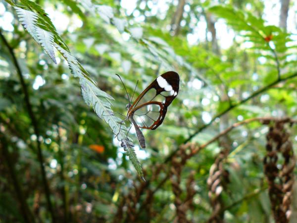 Trekking holiday in Cuba