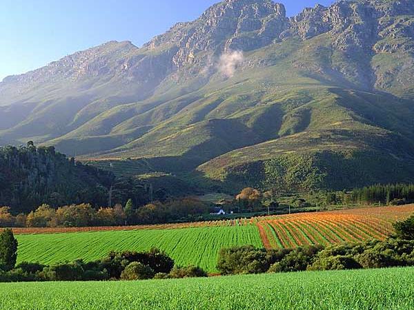 Cape Town & winelands vacation, South Africa tailormade