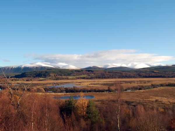 Scotland whale and wildlife vacation