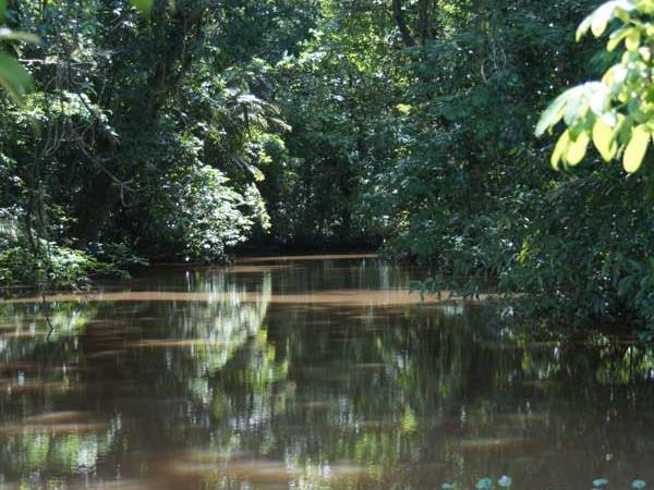 Costa Rica wildlife vacations