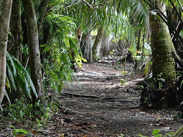 Costa Rica wildlife vacations
