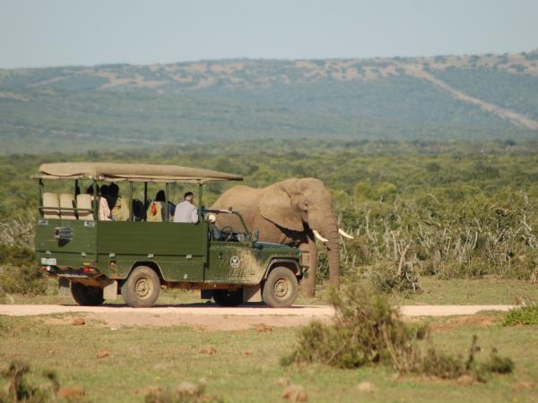 South Africa Garden Route wildlife holiday