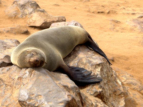 South Africa Garden Route wildlife holiday