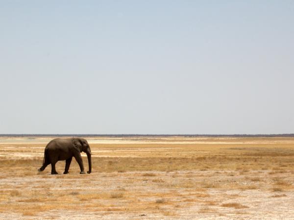 South Africa Garden Route wildlife holiday