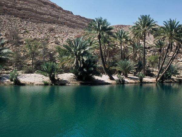 Oman small group tour