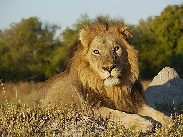 Botswana luxury tailor made vacation