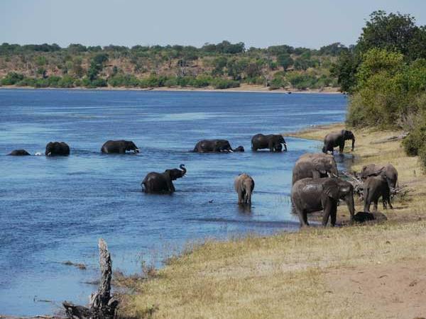 Botswana luxury tailor made vacation