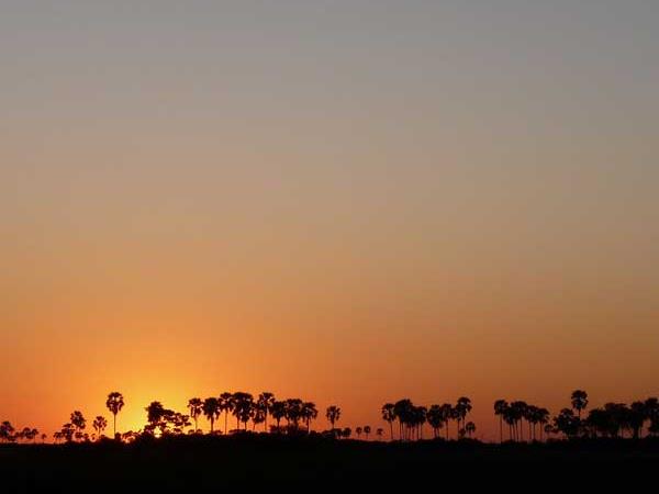 Botswana luxury tailor made vacation