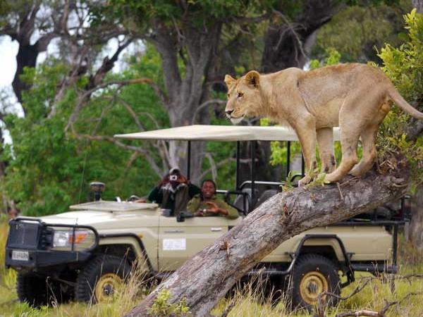 Botswana luxury tailor made vacation