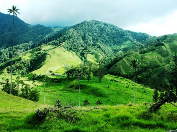Colombia tour, highlights