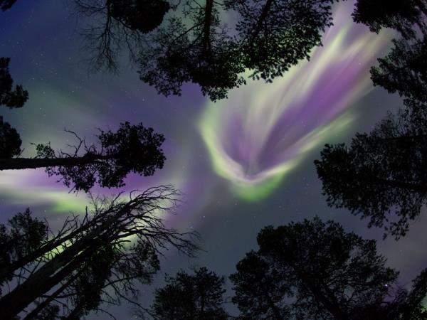 Finland Northern Lights vacation, Wilderness Auroras