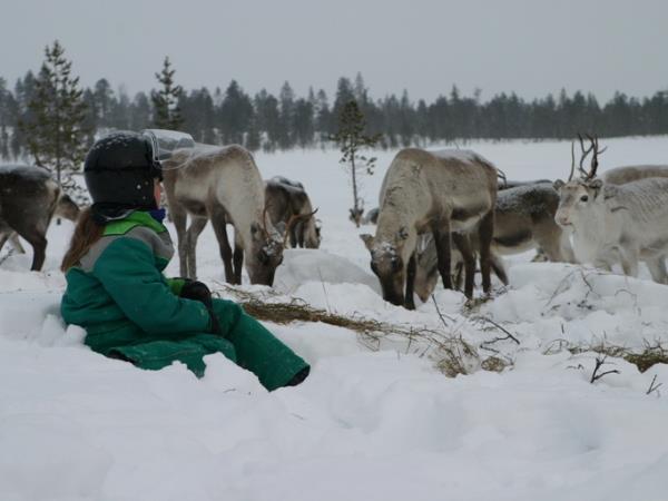 Finland Northern Lights vacation, Wilderness Auroras