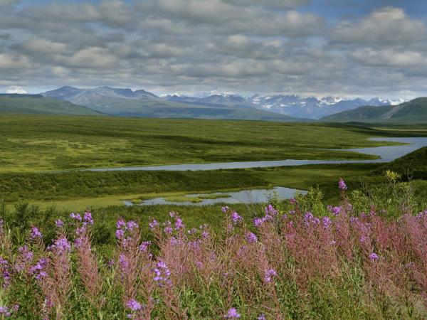 Denali National Park holiday in Alaska