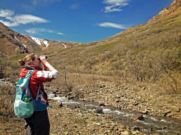 Denali National Park holiday in Alaska