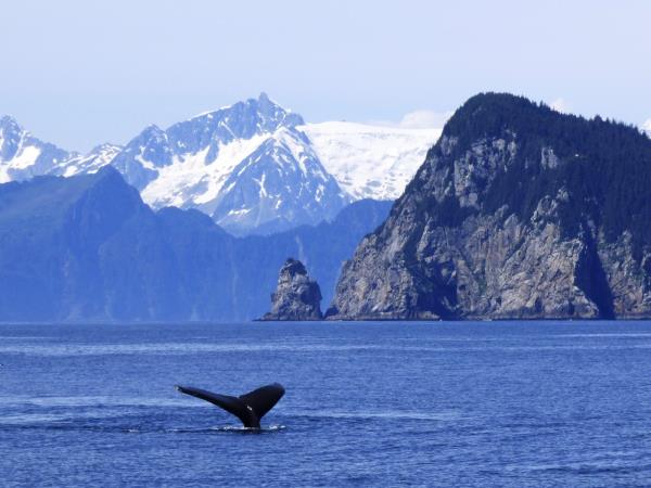 Kenai Peninsula adventure holiday in Alaska