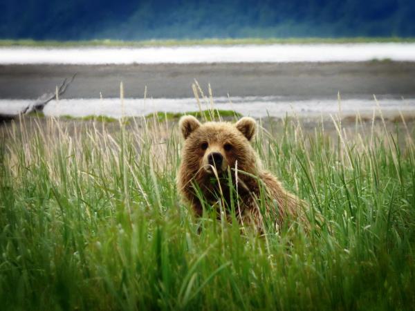 Kenai Peninsula adventure holiday in Alaska