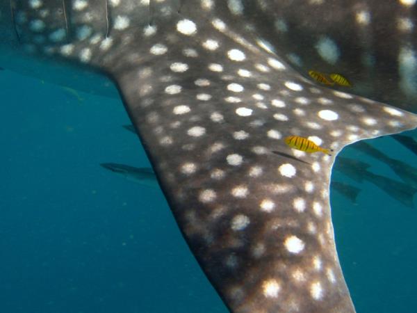 Western Australia wildlife vacation