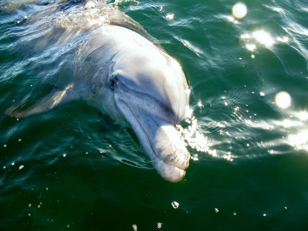 Western Australia wildlife vacation