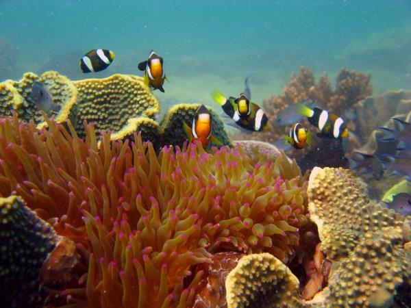 Western Australia wildlife vacation