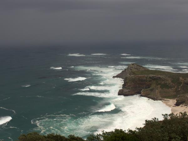 Western Cape wildlife vacation in South Africa