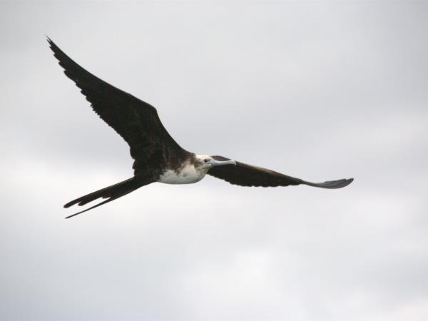 Galapagos tailor made adventure vacation