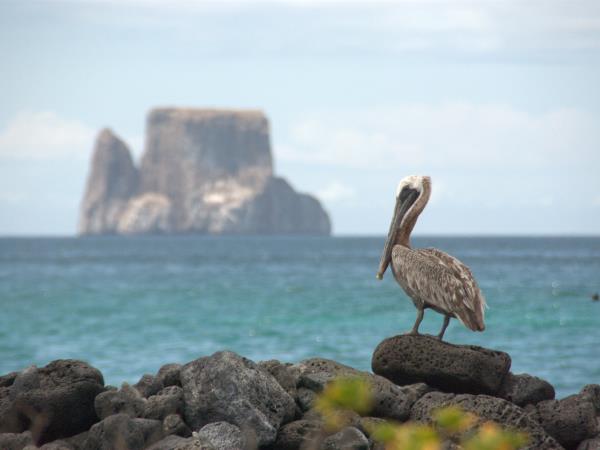 Galapagos tailor made adventure vacation
