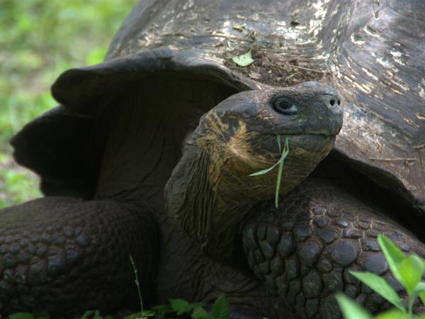 Galapagos tailor made adventure vacation