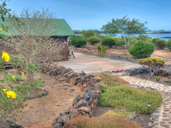 Floreana Island wildlife tour, Galapagos Islands