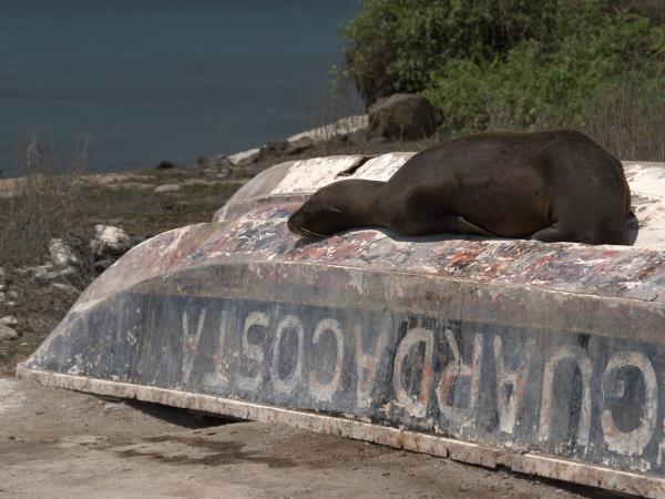 Galapagos adventure vacation