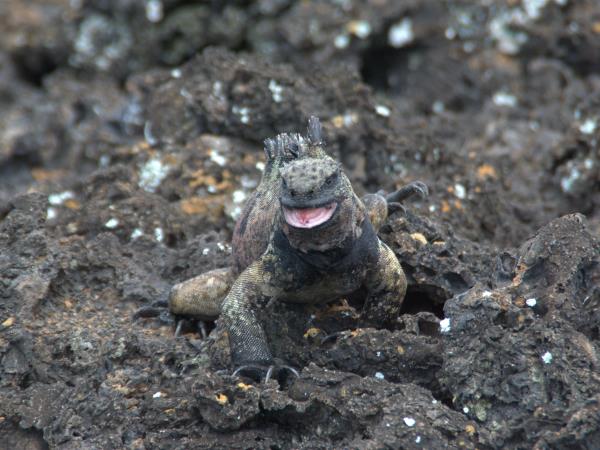 Galapagos adventure vacation