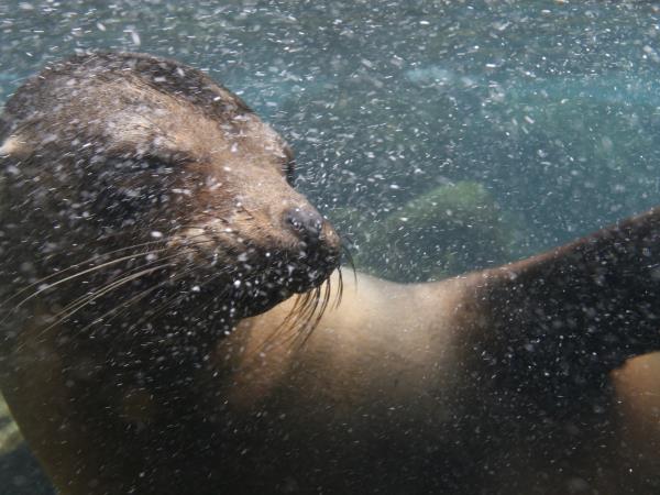 Galapagos adventure vacation